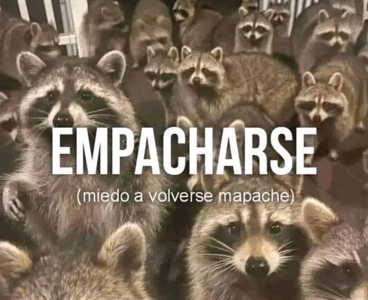Imagen del post NO AL EMPACHO!