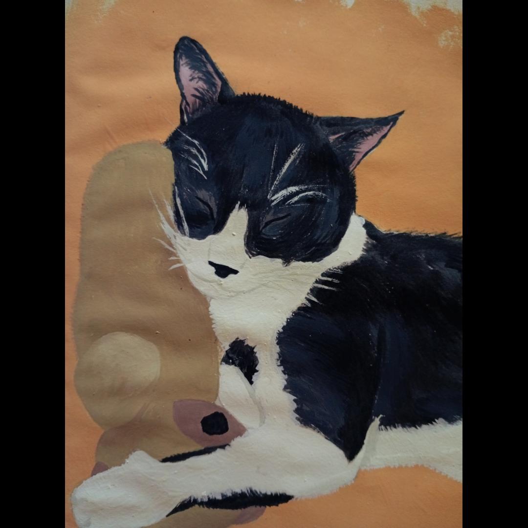 Imagen del post Pintura de mi gato